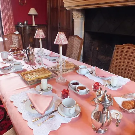 Bed & Breakfast Chateau De Naze Vivy-saumur Vivy