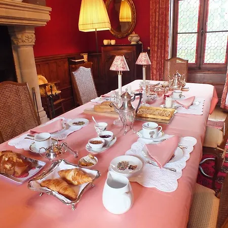 Chateau De Naze Vivy-saumur 3* Vivy