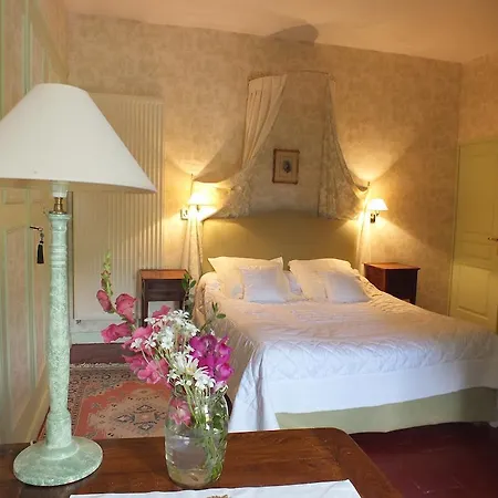 Chateau De Naze Vivy-saumur Frühstückspension Vivy