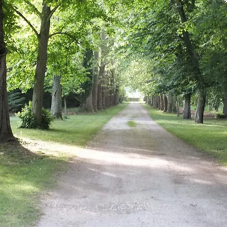Chateau De Naze Vivy-saumur Bed & Breakfast