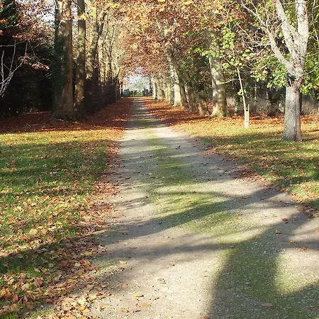 Chateau De Naze Vivy-saumur 住宿加早餐酒店