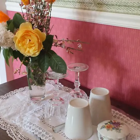 Chateau De Naze Vivy-saumur 3* Vivy