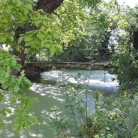 Bed & Breakfast Chateau De Naze Vivy-saumur