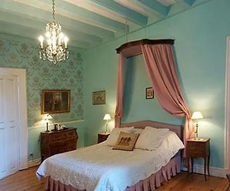 Chateau De Naze Vivy-saumur 3* Vivy