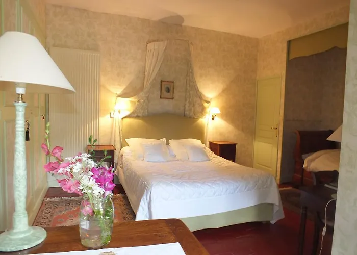 Chateau De Naze Vivy-saumur 3*