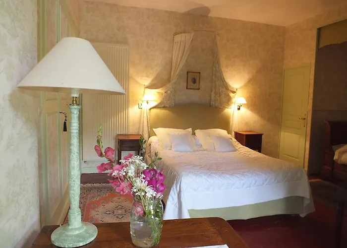 Chateau De Naze Vivy-saumur Bed & Breakfast Vivy