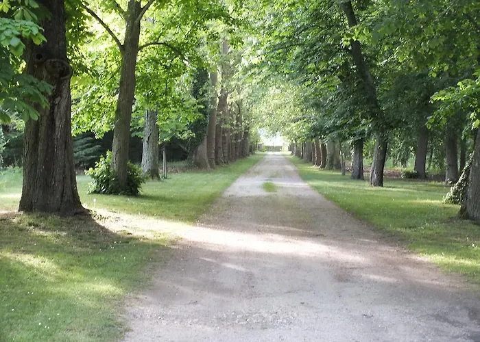 Château De Nazé Vivy-saumur Bed and breakfast