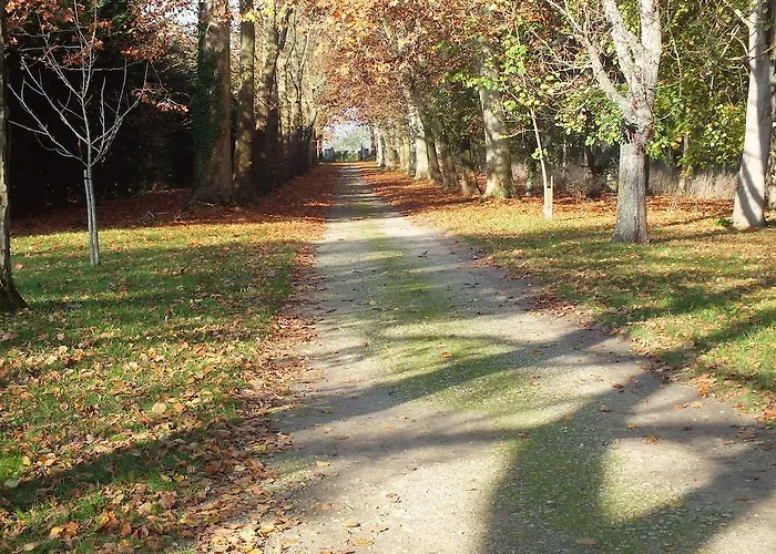 Chateau De Naze Vivy-saumur ベッド・アンド・ブレックファスト