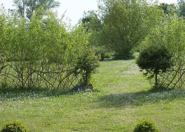 Château De Nazé Vivy-saumur 3*